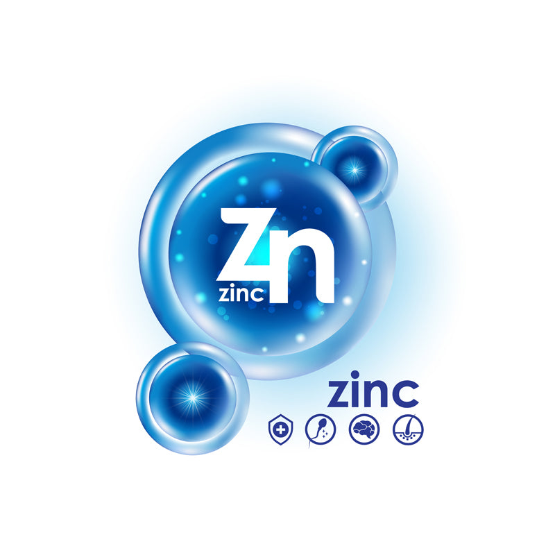Zinco: ruoli, fabbisogno giornaliero e segni di carenza