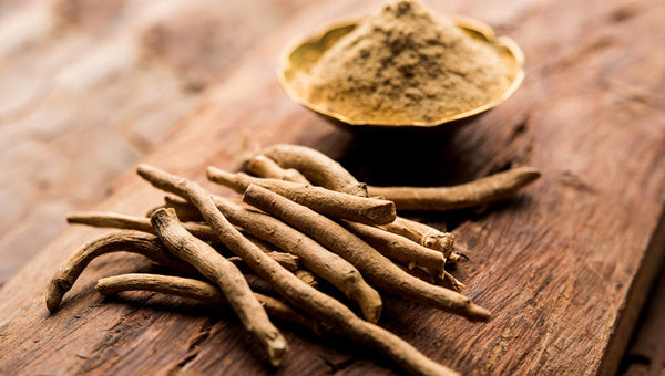 Ashwagandha : bienfaits, dosage et précautions, le guide complet