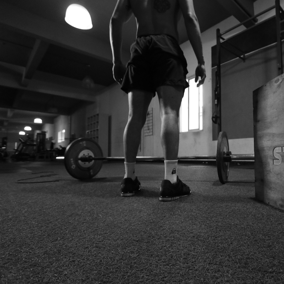 musculation et récupération spiruline