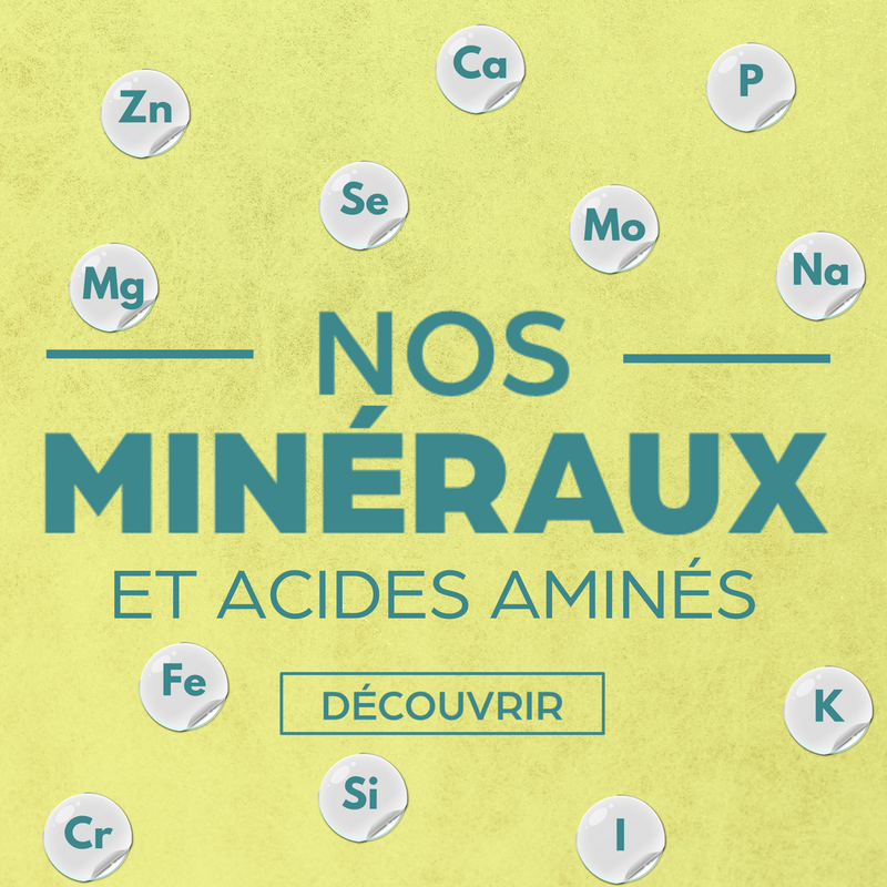 Minéraux & acides aminés