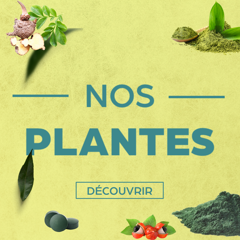 Plants