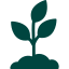 Plantes & Superaliments