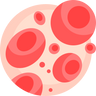 Formation des globules rouges